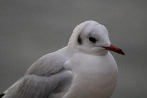 Foxographics - Fotografie, Design, Ästhetik | Portfolio Foxographics - Fotografie, Design, Ästhetik | Portfolio