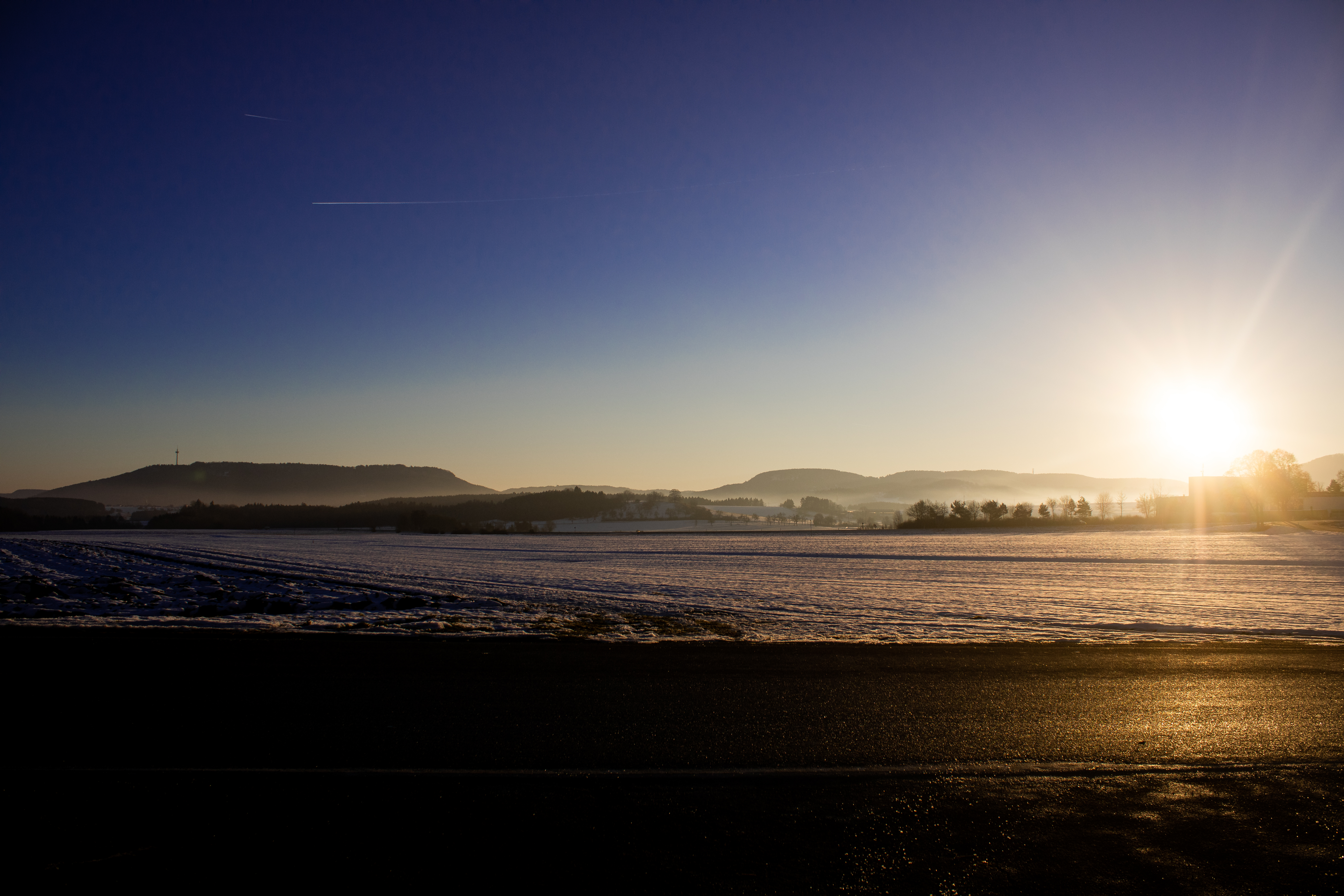 Sonnenstern Beispiel im Wald