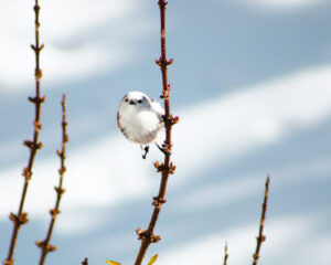 Foxographics - Fotografie, Design, Ästhetik | Portfolio Foxographics - Fotografie, Design, Ästhetik | Portfolio