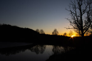 Foxographics - Fotografie, Design, Ästhetik | Portfolio Foxographics - Fotografie, Design, Ästhetik | Portfolio