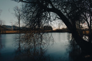 Foxographics - Fotografie, Design, Ästhetik | Portfolio Foxographics - Fotografie, Design, Ästhetik | Portfolio