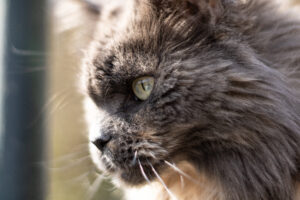 Foxographics - Fotografie, Design, Ästhetik | Portfolio Foxographics - Fotografie, Design, Ästhetik | Portfolio