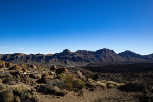 Foxographics - Fotografie, Design, Ästhetik | Portfolio Foxographics - Fotografie, Design, Ästhetik | Portfolio