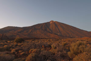 Foxographics - Fotografie, Design, Ästhetik | Portfolio Foxographics - Fotografie, Design, Ästhetik | Portfolio