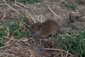 Foxographics - Fotografie, Design, Ästhetik | Portfolio Foxographics - Fotografie, Design, Ästhetik | Portfolio