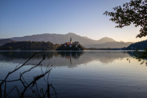 Foxographics - Fotografie, Design, Ästhetik | Portfolio Foxographics - Fotografie, Design, Ästhetik | Portfolio