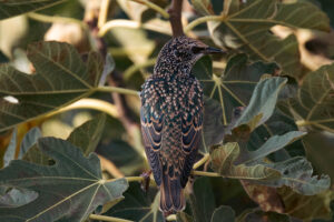 Foxographics - Fotografie, Design, Ästhetik | Portfolio Foxographics - Fotografie, Design, Ästhetik | Portfolio