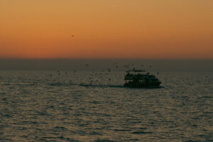 Foxographics - Fotografie, Design, Ästhetik | Portfolio Foxographics - Fotografie, Design, Ästhetik | Portfolio