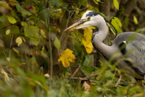 Foxographics - Fotografie, Design, Ästhetik | Portfolio Foxographics - Fotografie, Design, Ästhetik | Portfolio