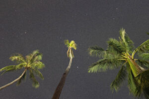 Foxographics - Fotografie, Design, Ästhetik | Portfolio Foxographics - Fotografie, Design, Ästhetik | Portfolio