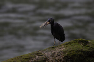 Foxographics - Fotografie, Design, Ästhetik | Portfolio Foxographics - Fotografie, Design, Ästhetik | Portfolio