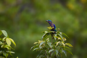 Foxographics - Fotografie, Design, Ästhetik | Portfolio Foxographics - Fotografie, Design, Ästhetik | Portfolio