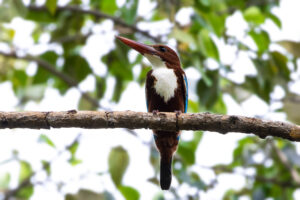 Foxographics - Fotografie, Design, Ästhetik | Portfolio Foxographics - Fotografie, Design, Ästhetik | Portfolio