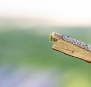 Foxographics - Fotografie, Design, Ästhetik | Portfolio Foxographics - Fotografie, Design, Ästhetik | Portfolio