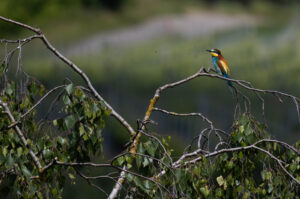 Foxographics - Fotografie, Design, Ästhetik | Portfolio Foxographics - Fotografie, Design, Ästhetik | Portfolio